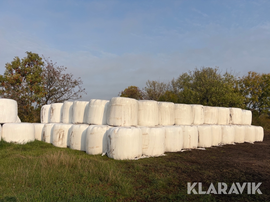 Ensilagebalar 100 st