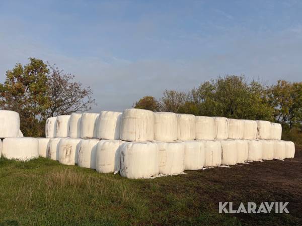 Ensilagebalar 100 st