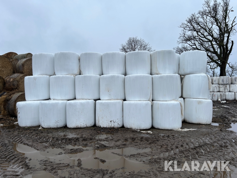 Ensilagebalar 50 st