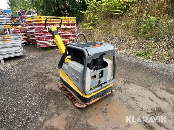 Markvibrator Wacker Neuson DPU 6555HE
