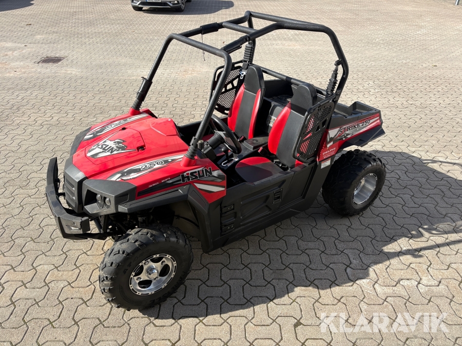 UTV Hisun Strike 250 Junior
