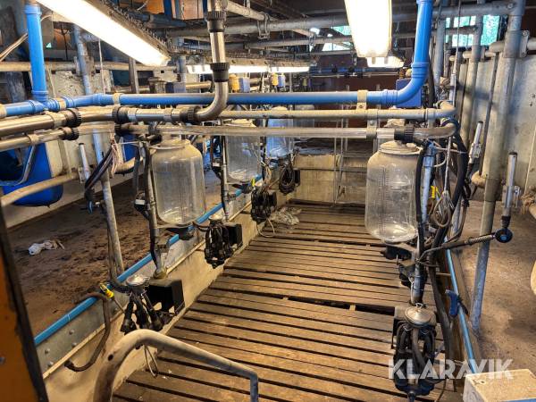 Mjölkgrop Alfa Laval Agri Hygenius C200