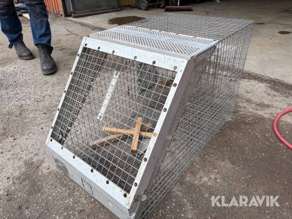 Kråkfälla Lotin traps