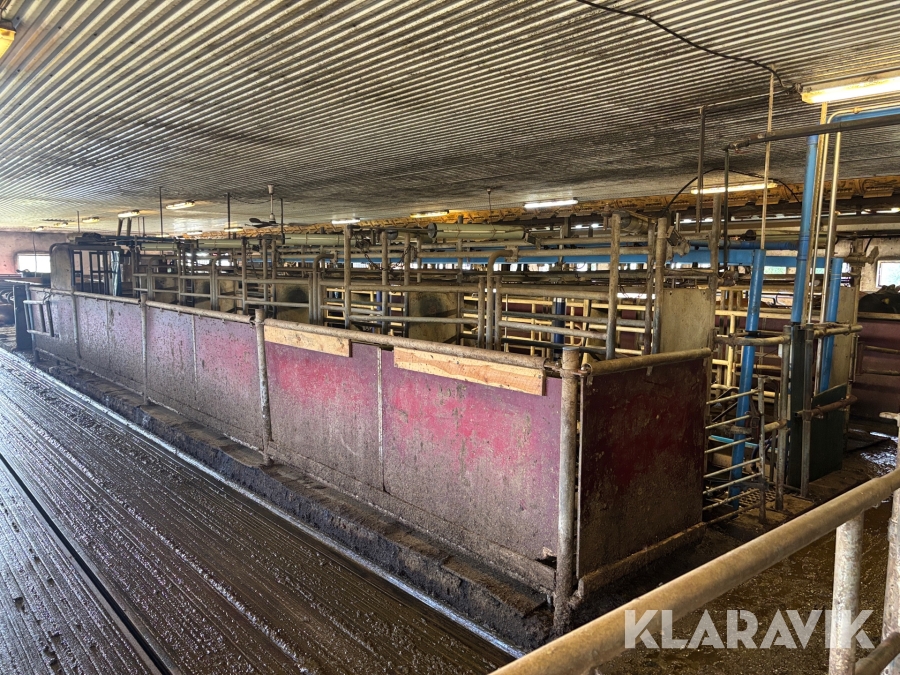 Mjölkgrop DeLaval 8st platser tandem