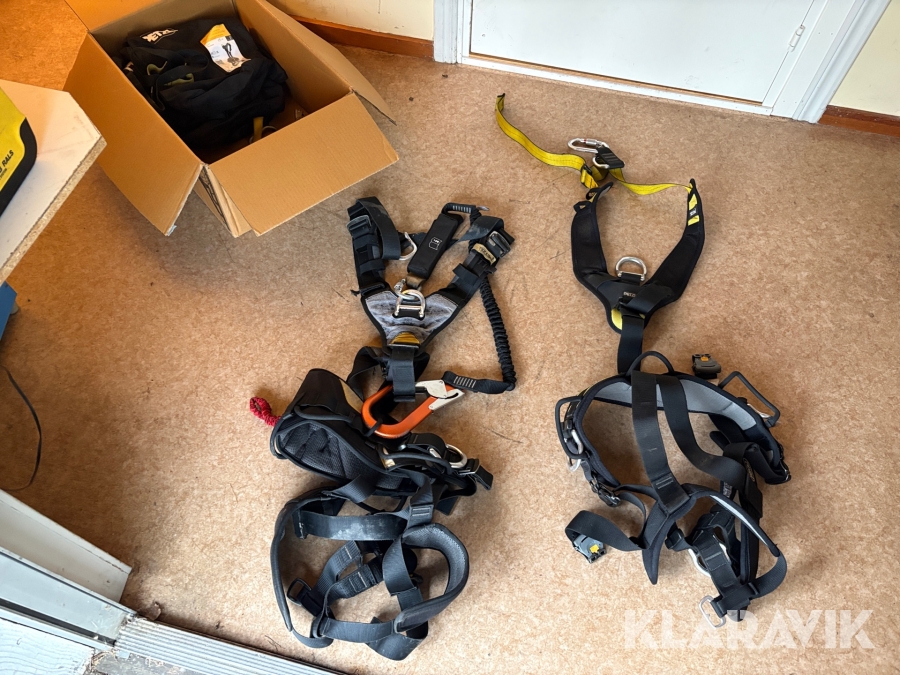Säkerhetssele och rep Petzl 2 st