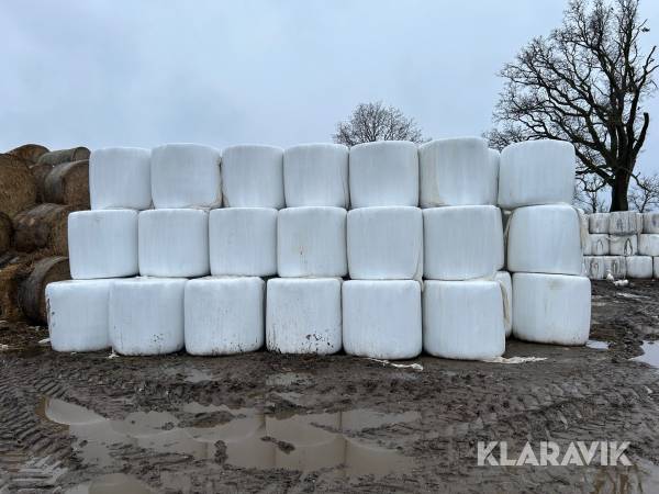 Ensilagebalar 50 st