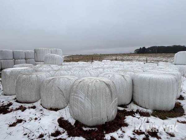 Ensilage 20st rundbalar