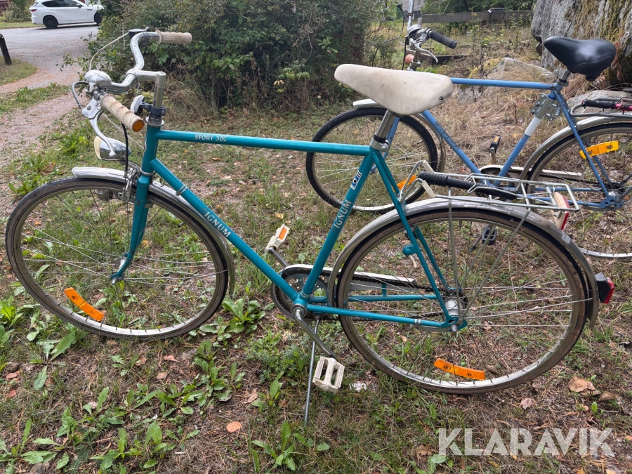 Cyckel Signum Sport 300