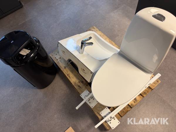Handikappanpassad toalett och handfat