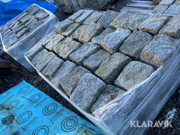 Storgatsten portugisisk 192st