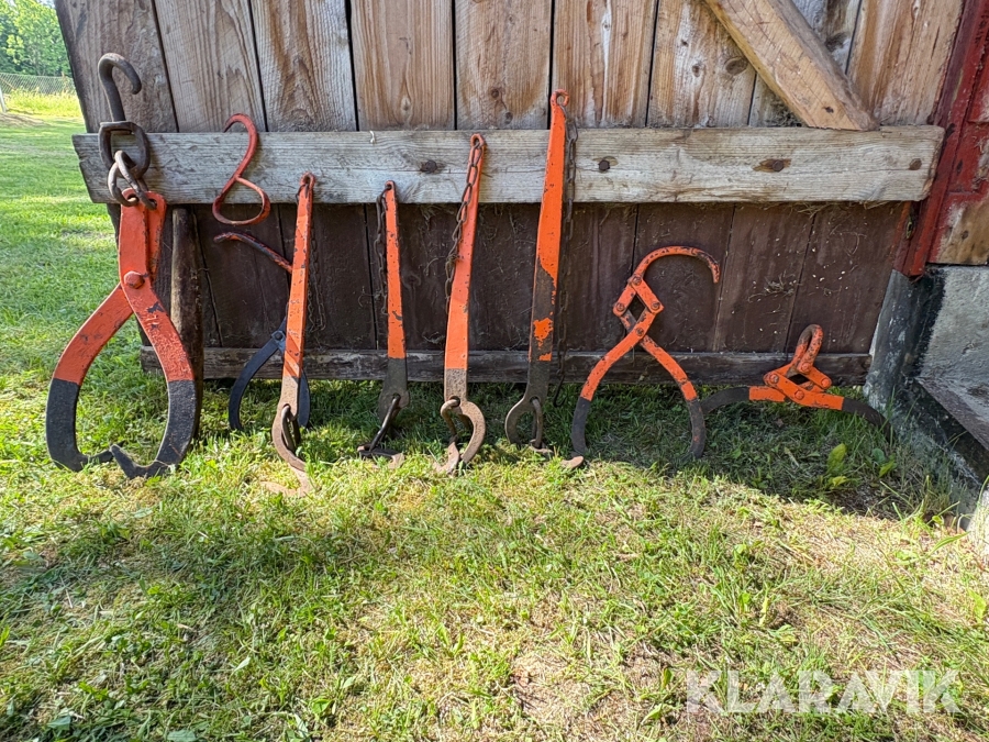 Skogsaxar och spännböjrnar