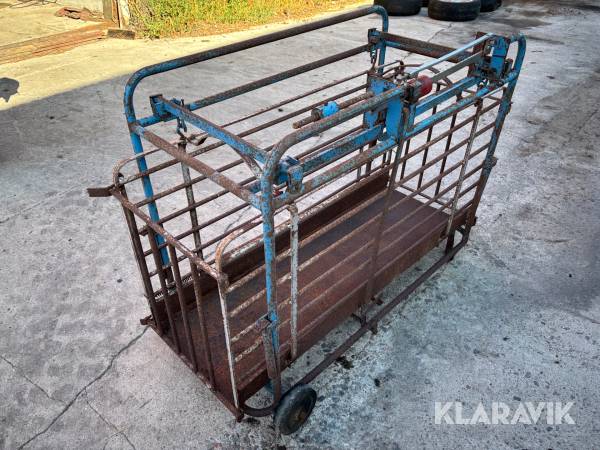 Våg till gris