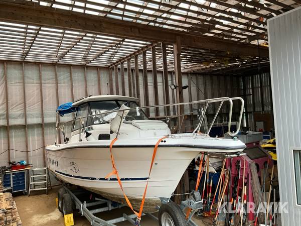 Båt Bayliner Trophy 2352WA