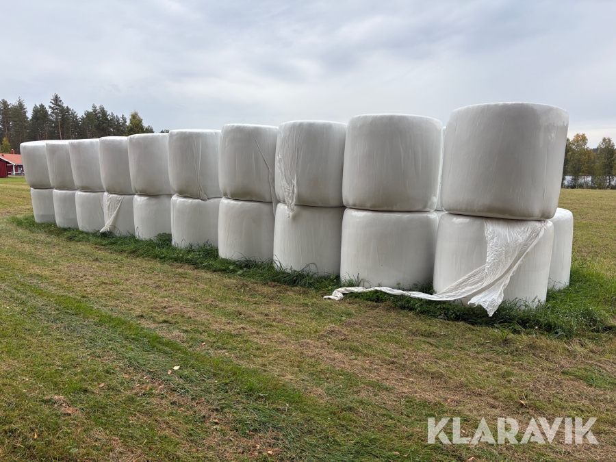 Ensilage