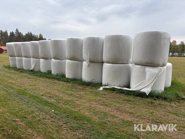 Ensilage