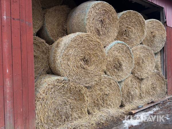 Halmbalar rundbal 2025 års skörd 40 st