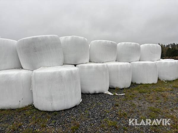 Ensilage 50 st