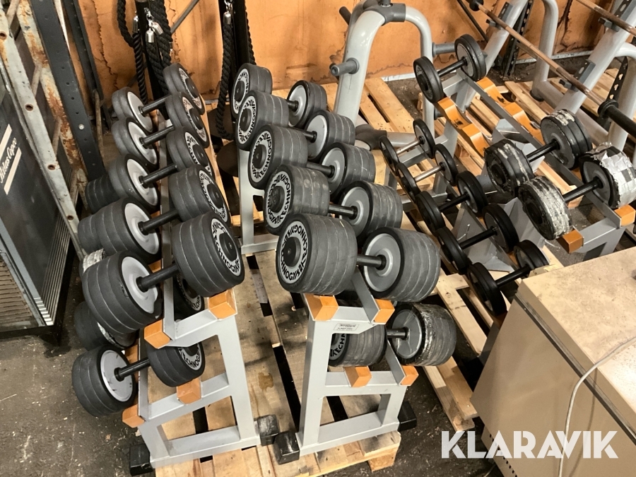 Hantlar Technogym 28 st med ställning