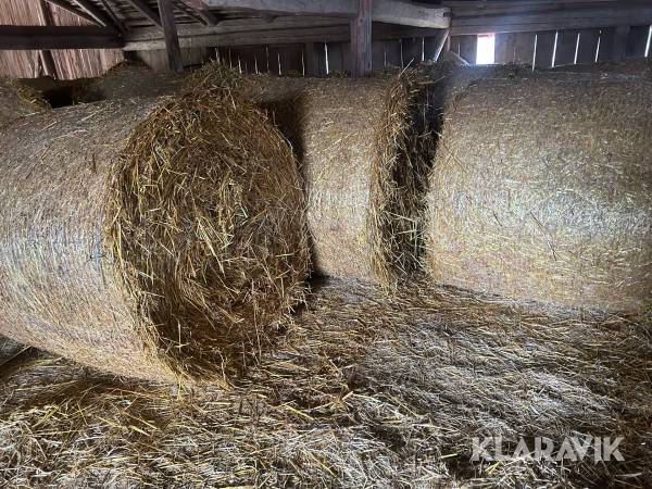 Havre halm 40st