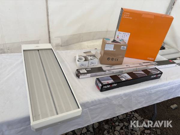 Infravärme och belysning Frico EZ21231