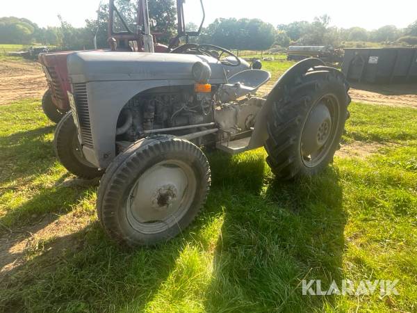 Veterantraktor Ferguson TED