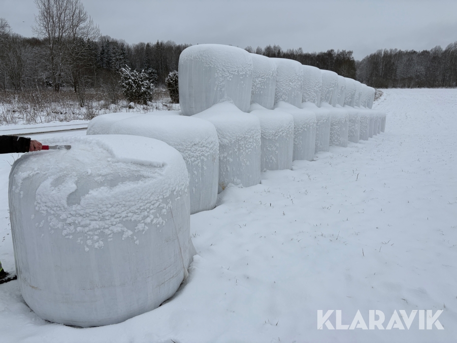 Ensilagebalar Ekologisk Vallfröblandning 33st