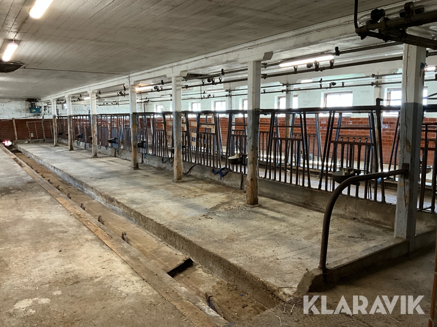 Komplett mjölkanläggning DeLaval 36 platser
