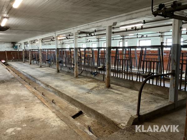Komplett mjölkanläggning DeLaval 36 platser