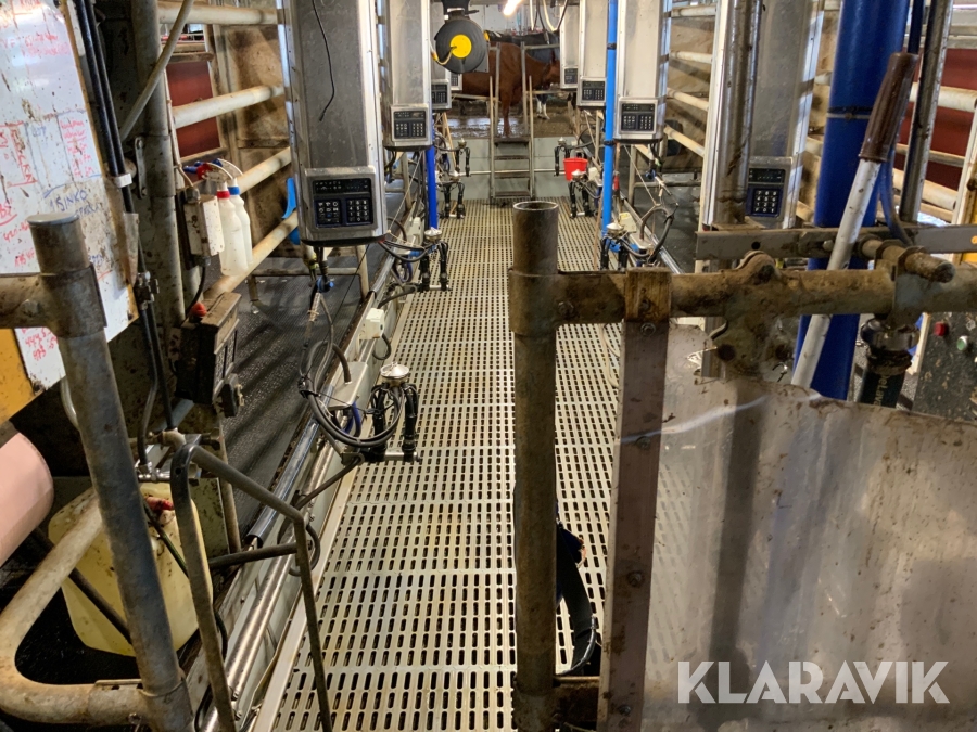 Mjölkgrop Delaval Tandem stall 8 platser