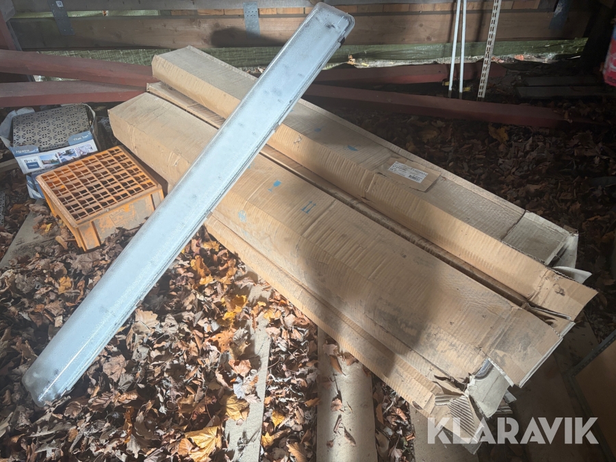 Lysrör Thorn IP 65/66/67