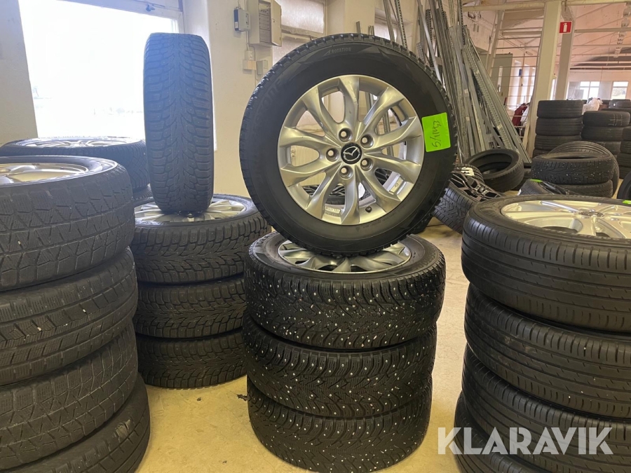 Dubbade vinterdäck med fälg Bridgestone 215/60R16 4st