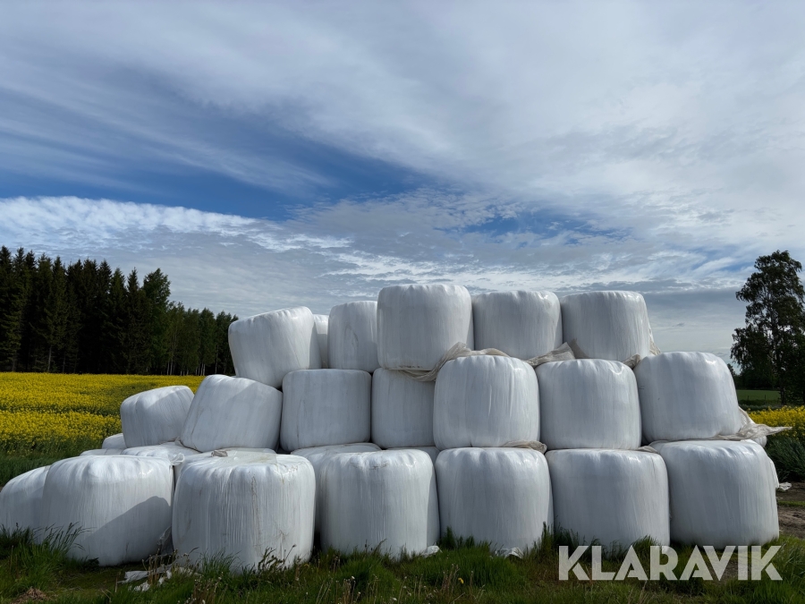 Ensilage 50st