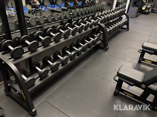 Gymutrustning TechnoGym Dumbbell rack 10 pairs 2st med hantlar