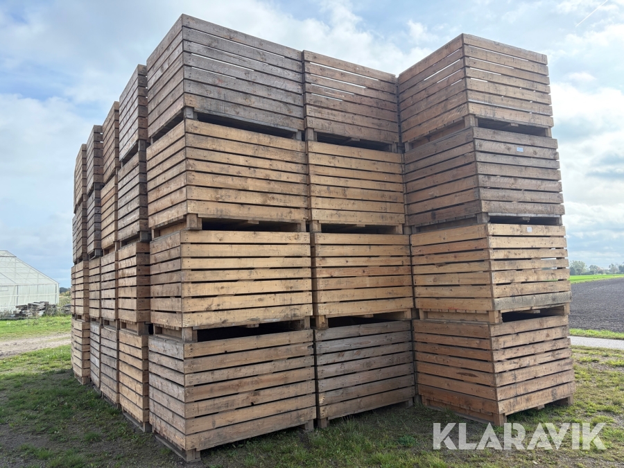 Potatislådor 100 st (storlådor 150x120x112 cm )