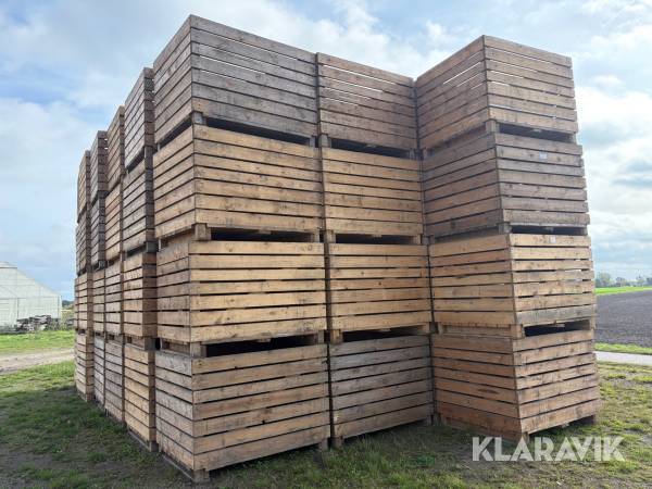 Potatislådor 100 st (storlådor 150x120x112 cm )