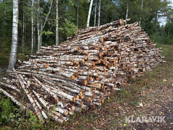 Björkved fallande längd