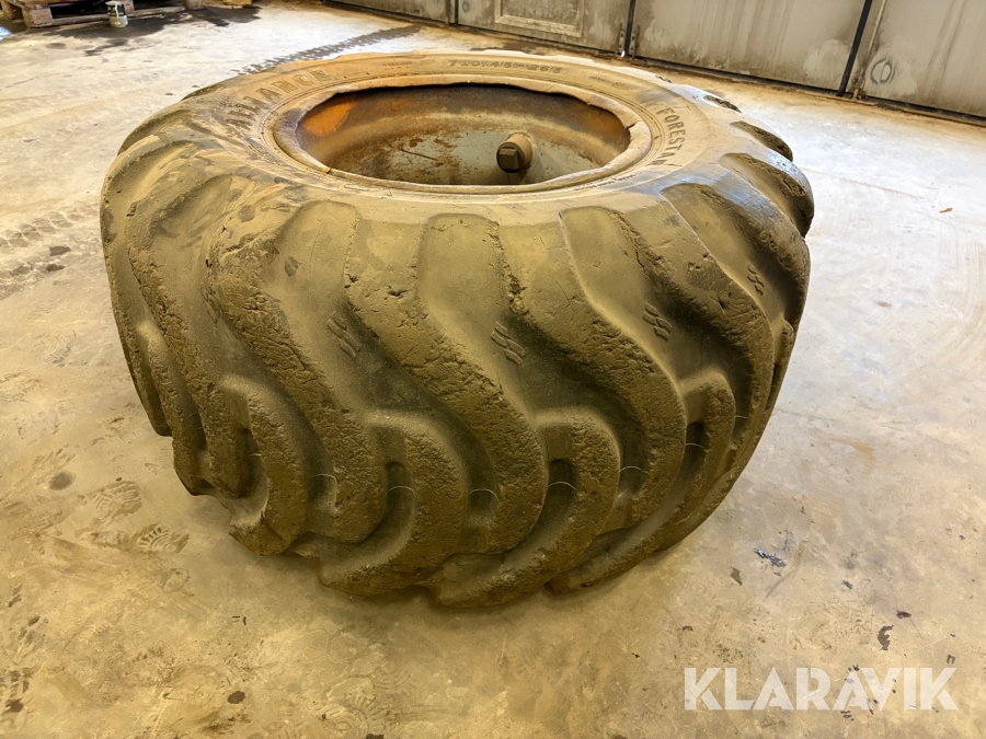 Skogsdäck Alliance Forestar