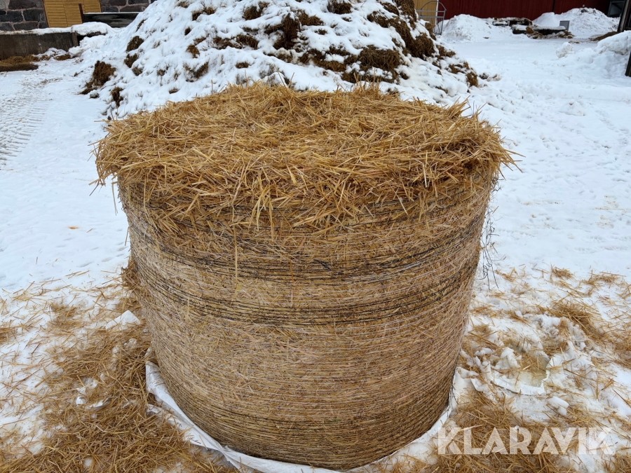 Vetehalm plastad 50 st