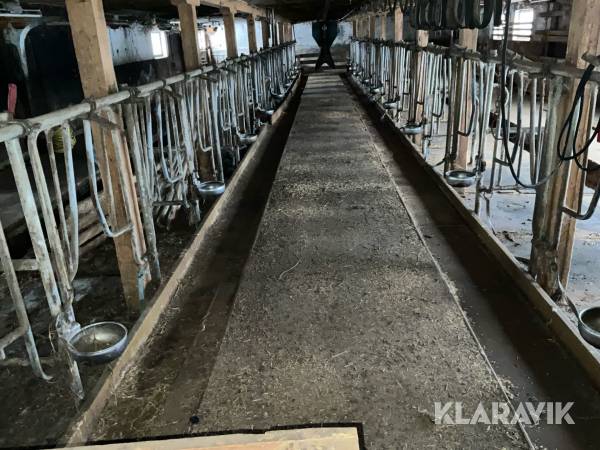 Foderplatser och boxar inredning för djurstall