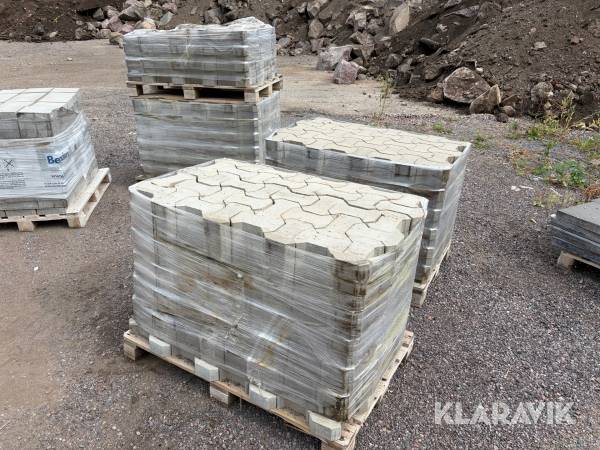 Marksten (hundben) 200 x 130 x 60 mm 3,5 pall