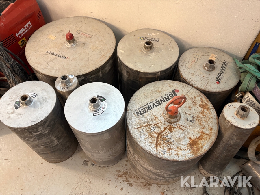 Kärnborrar Jerneviken