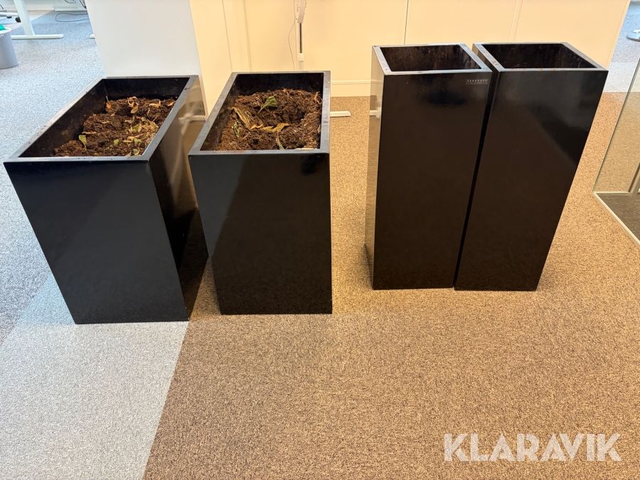 Blomkruka 4 st Tendence