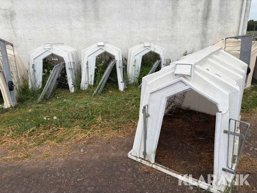 Kalvbås Suevia 4st