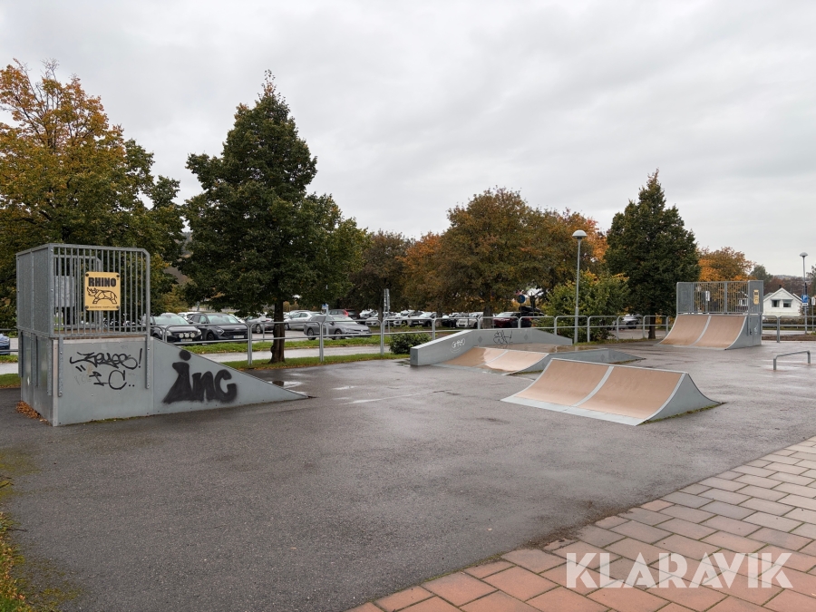 Skateboardramper Rhino