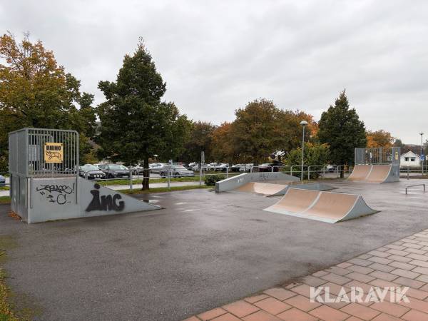 Skateboardramper Rhino