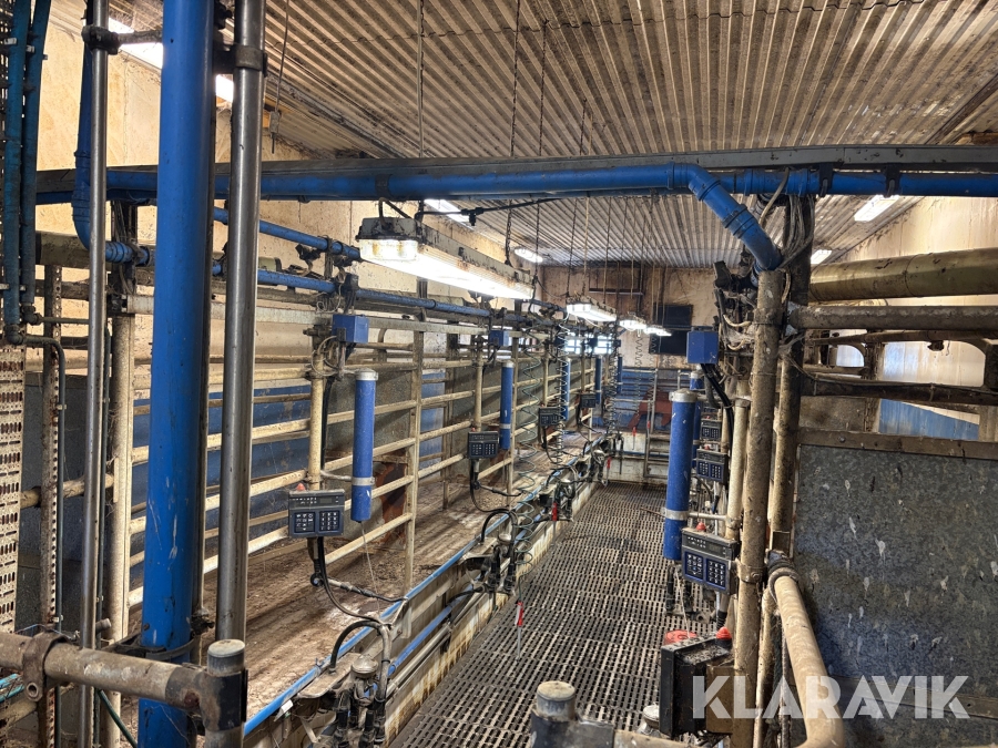 Mjölkanläggning Alfa Laval Agria Tandem 5 med höj och sänkbart golv, komplett anläggning
