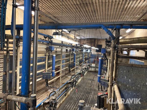 Mjölkanläggning Alfa Laval Agria Tandem 5 med höj och sänkbart golv, komplett anläggning