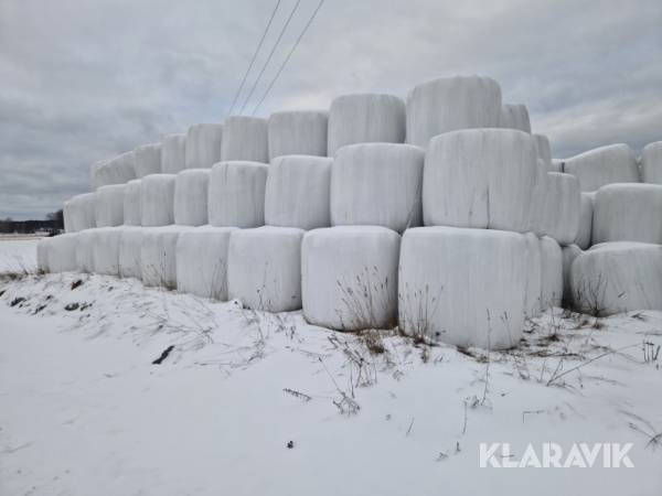 Ensilage 50st balar
