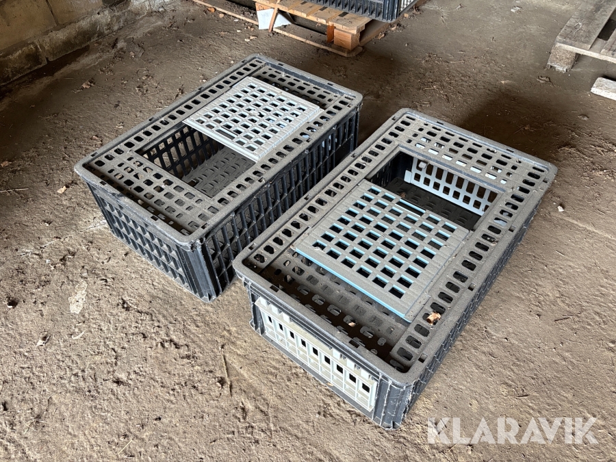 Transportlådor fjäderfä 21st