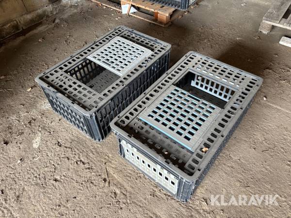 Transportlådor fjäderfä 21st